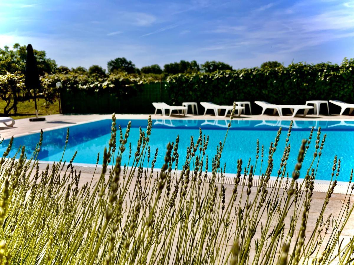 Bed and Breakfast Pansion Margerita Poreč Zewnętrze zdjęcie